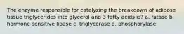 The enzyme responsible for catalyzing the breakdown of adipose tissue triglycerides into glycerol and 3 fatty acids is? a. fatase b. hormone sensitive lipase c. triglycerase d. phosphorylase
