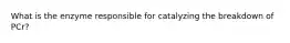 What is the enzyme responsible for catalyzing the breakdown of PCr?
