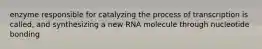 enzyme responsible for catalyzing the process of transcription is called, and synthesizing a new RNA molecule through nucleotide bonding