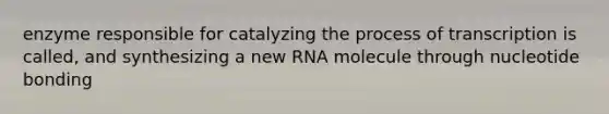 enzyme responsible for catalyzing the process of transcription is called, and synthesizing a new RNA molecule through nucleotide bonding