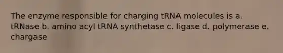 The enzyme responsible for charging tRNA molecules is a. tRNase b. amino acyl tRNA synthetase c. ligase d. polymerase e. chargase