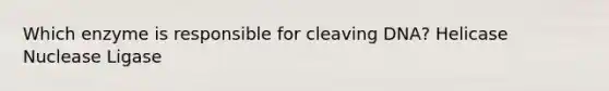 Which enzyme is responsible for cleaving DNA? Helicase Nuclease Ligase