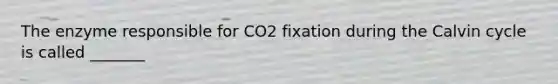 The enzyme responsible for CO2 fixation during the Calvin cycle is called _______