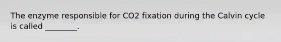 The enzyme responsible for CO2 fixation during the Calvin cycle is called ________.