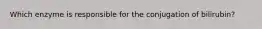 Which enzyme is responsible for the conjugation of bilirubin?