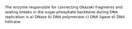 The enzyme responsible for connecting Okazaki fragments and sealing breaks in the sugar-phosphate backbone during DNA replication is a) DNase b) DNA polymerase c) DNA ligase d) DNA helicase