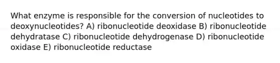 What enzyme is responsible for the conversion of nucleotides to deoxynucleotides? A) ribonucleotide deoxidase B) ribonucleotide dehydratase C) ribonucleotide dehydrogenase D) ribonucleotide oxidase E) ribonucleotide reductase