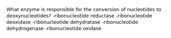 What enzyme is responsible for the conversion of nucleotides to deoxynucleotides? -ribonucleotide reductase -ribonucleotide deoxidase -ribonucleotide dehydratase -ribonucleotide dehydrogenase -ribonucleotide oxidase