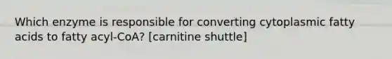 Which enzyme is responsible for converting cytoplasmic fatty acids to fatty acyl-CoA? [carnitine shuttle]