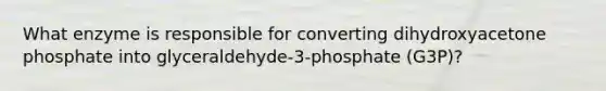 What enzyme is responsible for converting dihydroxyacetone phosphate into glyceraldehyde-3-phosphate (G3P)?