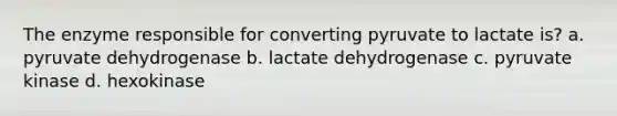 The enzyme responsible for converting pyruvate to lactate is? a. pyruvate dehydrogenase b. lactate dehydrogenase c. pyruvate kinase d. hexokinase