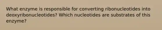 What enzyme is responsible for converting ribonucleotides into deoxyribonucleotides? Which nucleotides are substrates of this enzyme?