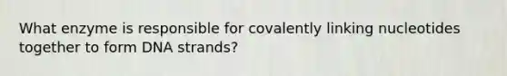 What enzyme is responsible for covalently linking nucleotides together to form DNA strands?