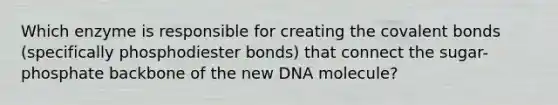 Which enzyme is responsible for creating the covalent bonds (specifically phosphodiester bonds) that connect the sugar-phosphate backbone of the new DNA molecule?