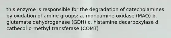 this enzyme is responsible for the degradation of catecholamines by oxidation of amine groups: a. monoamine oxidase (MAO) b. glutamate dehydrogenase (GDH) c. histamine decarboxylase d. cathecol-o-methyl transferase (COMT)