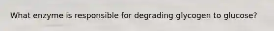 What enzyme is responsible for degrading glycogen to glucose?