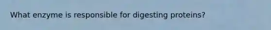 What enzyme is responsible for digesting proteins?