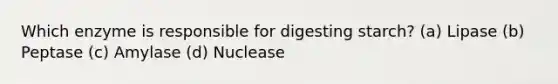 Which enzyme is responsible for digesting starch? (a) Lipase (b) Peptase (c) Amylase (d) Nuclease