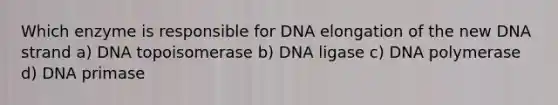 Which enzyme is responsible for DNA elongation of the new DNA strand a) DNA topoisomerase b) DNA ligase c) DNA polymerase d) DNA primase