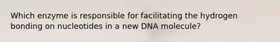 Which enzyme is responsible for facilitating the hydrogen bonding on nucleotides in a new DNA molecule?