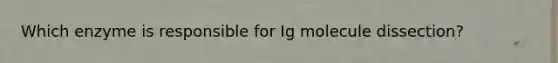 Which enzyme is responsible for Ig molecule dissection?