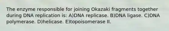 The enzyme responsible for joining Okazaki fragments together during <a href='https://www.questionai.com/knowledge/kofV2VQU2J-dna-replication' class='anchor-knowledge'>dna replication</a> is: A)DNA replicase. B)DNA ligase. C)DNA polymerase. D)helicase. E)topoisomerase II.