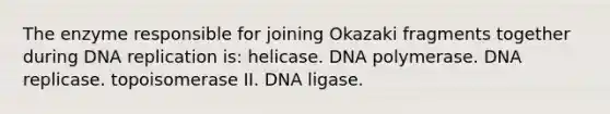 The enzyme responsible for joining Okazaki fragments together during <a href='https://www.questionai.com/knowledge/kofV2VQU2J-dna-replication' class='anchor-knowledge'>dna replication</a> is: helicase. DNA polymerase. DNA replicase. topoisomerase II. DNA ligase.