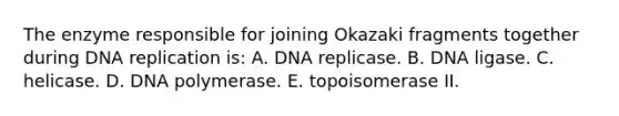 The enzyme responsible for joining Okazaki fragments together during DNA replication is: A. DNA replicase. B. DNA ligase. C. helicase. D. DNA polymerase. E. topoisomerase II.