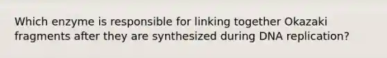 Which enzyme is responsible for linking together Okazaki fragments after they are synthesized during DNA replication?