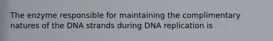 The enzyme responsible for maintaining the complimentary natures of the DNA strands during DNA replication is