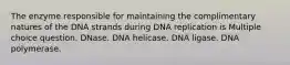 The enzyme responsible for maintaining the complimentary natures of the DNA strands during DNA replication is Multiple choice question. DNase. DNA helicase. DNA ligase. DNA polymerase.