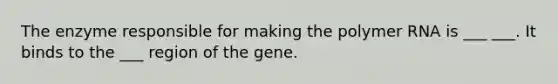 The enzyme responsible for making the polymer RNA is ___ ___. It binds to the ___ region of the gene.