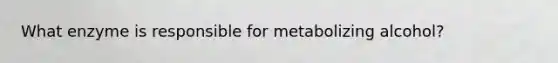 What enzyme is responsible for metabolizing alcohol?