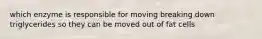 which enzyme is responsible for moving breaking down triglycerides so they can be moved out of fat cells