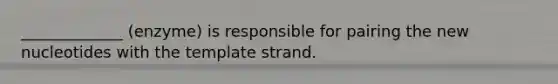 _____________ (enzyme) is responsible for pairing the new nucleotides with the template strand.