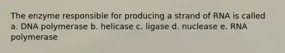 The enzyme responsible for producing a strand of RNA is called a. DNA polymerase b. helicase c. ligase d. nuclease e. RNA polymerase