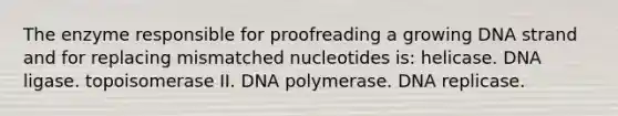 The enzyme responsible for proofreading a growing DNA strand and for replacing mismatched nucleotides is: helicase. DNA ligase. topoisomerase II. DNA polymerase. DNA replicase.