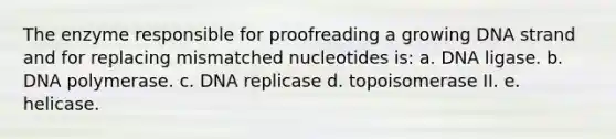 The enzyme responsible for proofreading a growing DNA strand and for replacing mismatched nucleotides is: a. DNA ligase. b. DNA polymerase. c. DNA replicase d. topoisomerase II. e. helicase.