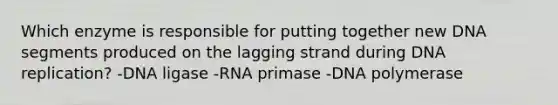 Which enzyme is responsible for putting together new DNA segments produced on the lagging strand during DNA replication? -DNA ligase -RNA primase -DNA polymerase