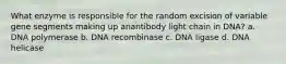 What enzyme is responsible for the random excision of variable gene segments making up anantibody light chain in DNA? a. DNA polymerase b. DNA recombinase c. DNA ligase d. DNA helicase