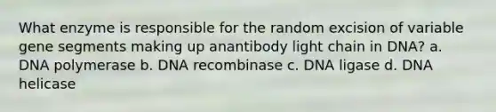 What enzyme is responsible for the random excision of variable gene segments making up anantibody light chain in DNA? a. DNA polymerase b. DNA recombinase c. DNA ligase d. DNA helicase