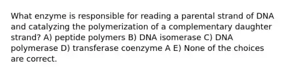 What enzyme is responsible for reading a parental strand of DNA and catalyzing the polymerization of a complementary daughter strand? A) peptide polymers B) DNA isomerase C) DNA polymerase D) transferase coenzyme A E) None of the choices are correct.