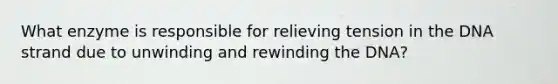 What enzyme is responsible for relieving tension in the DNA strand due to unwinding and rewinding the DNA?