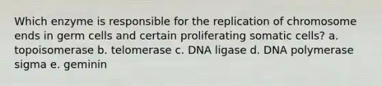 Which enzyme is responsible for the replication of chromosome ends in germ cells and certain proliferating somatic cells? a. topoisomerase b. telomerase c. DNA ligase d. DNA polymerase sigma e. geminin