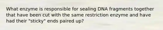 What enzyme is responsible for sealing DNA fragments together that have been cut with the same restriction enzyme and have had their "sticky" ends paired up?