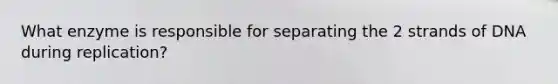What enzyme is responsible for separating the 2 strands of DNA during replication?