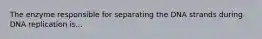 The enzyme responsible for separating the DNA strands during DNA replication is...