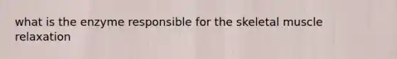 what is the enzyme responsible for the skeletal muscle relaxation