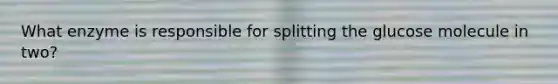 What enzyme is responsible for splitting the glucose molecule in two?