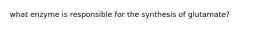 what enzyme is responsible for the synthesis of glutamate?